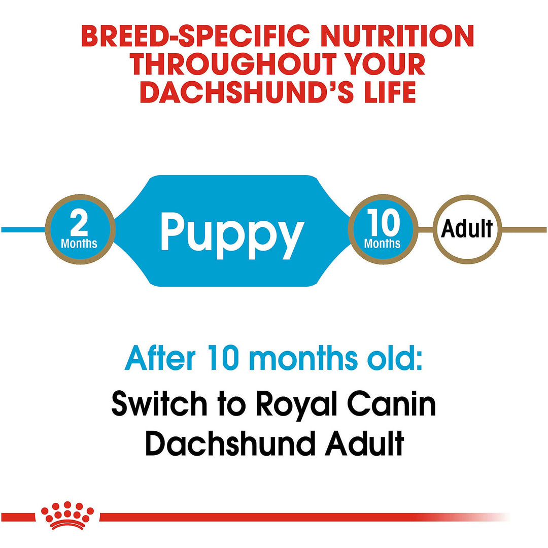 Royal Canin Dachshund Puppy 1.5Kg - PetWorld