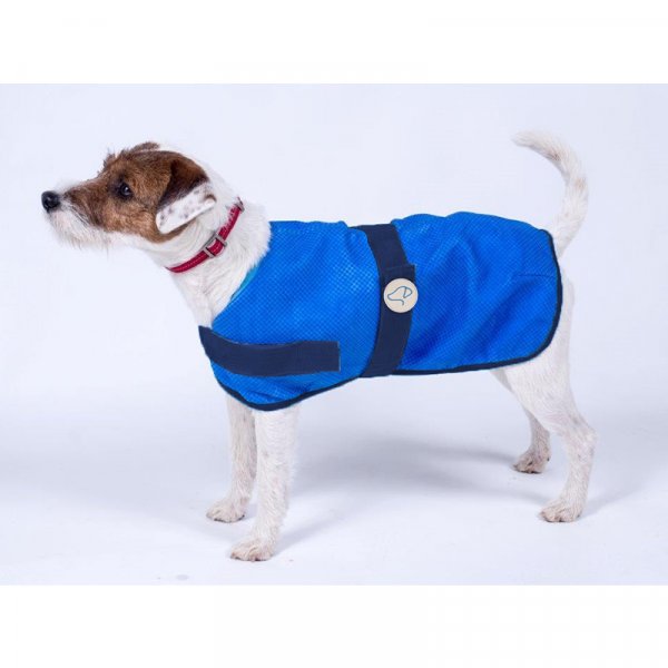 dog cooling coat