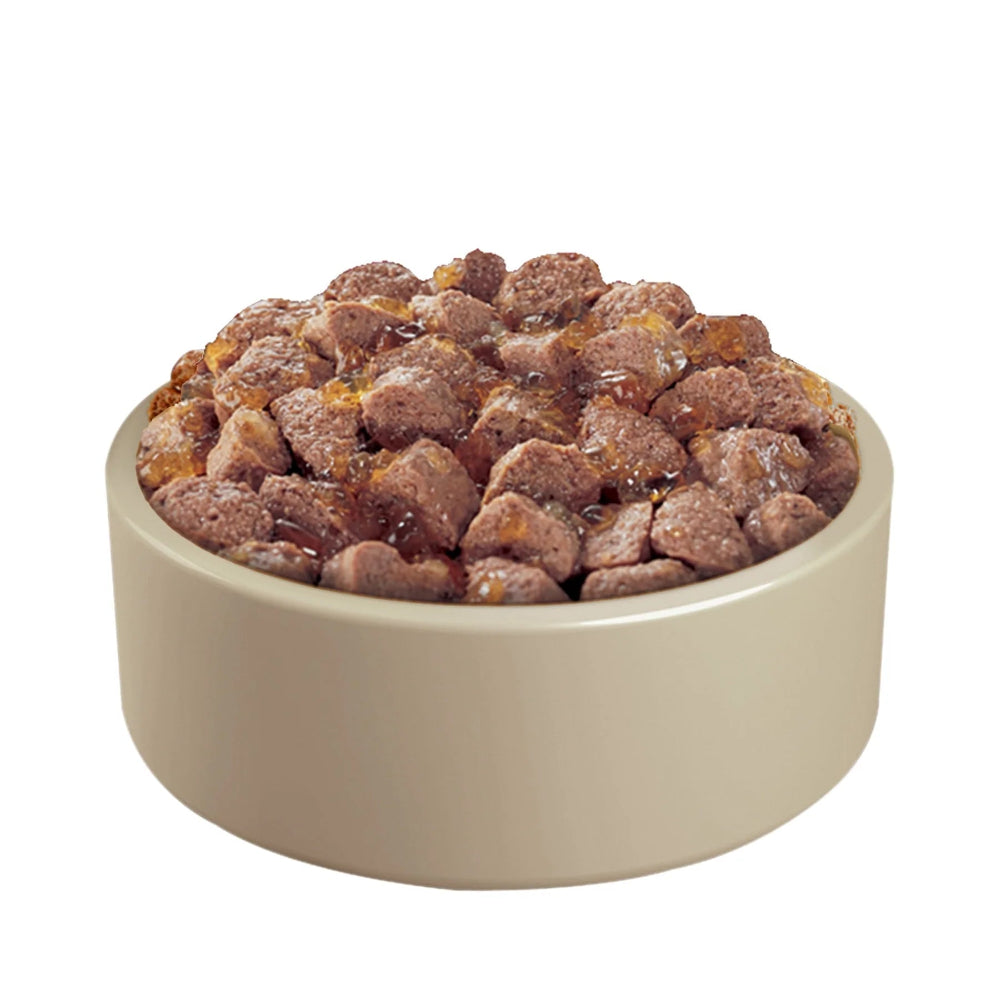 Dog eating jelly food

