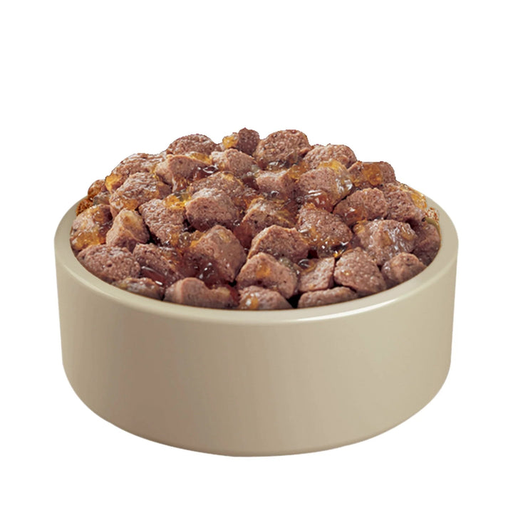 Dog eating jelly food

