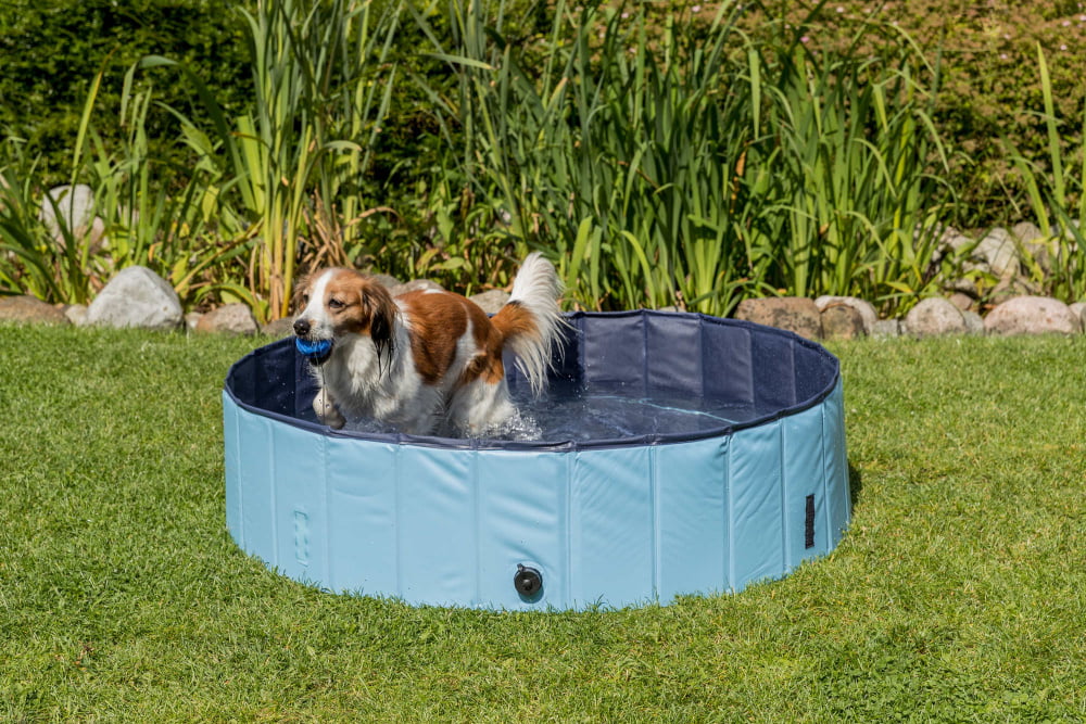 dog pool by trixie