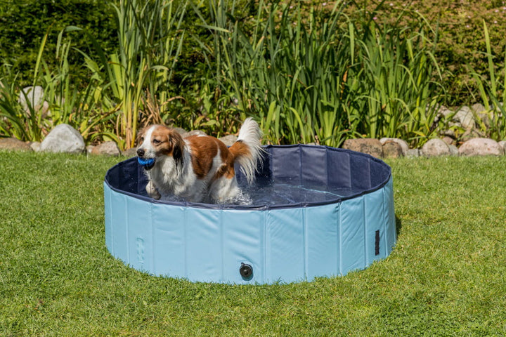 dog pool by trixie