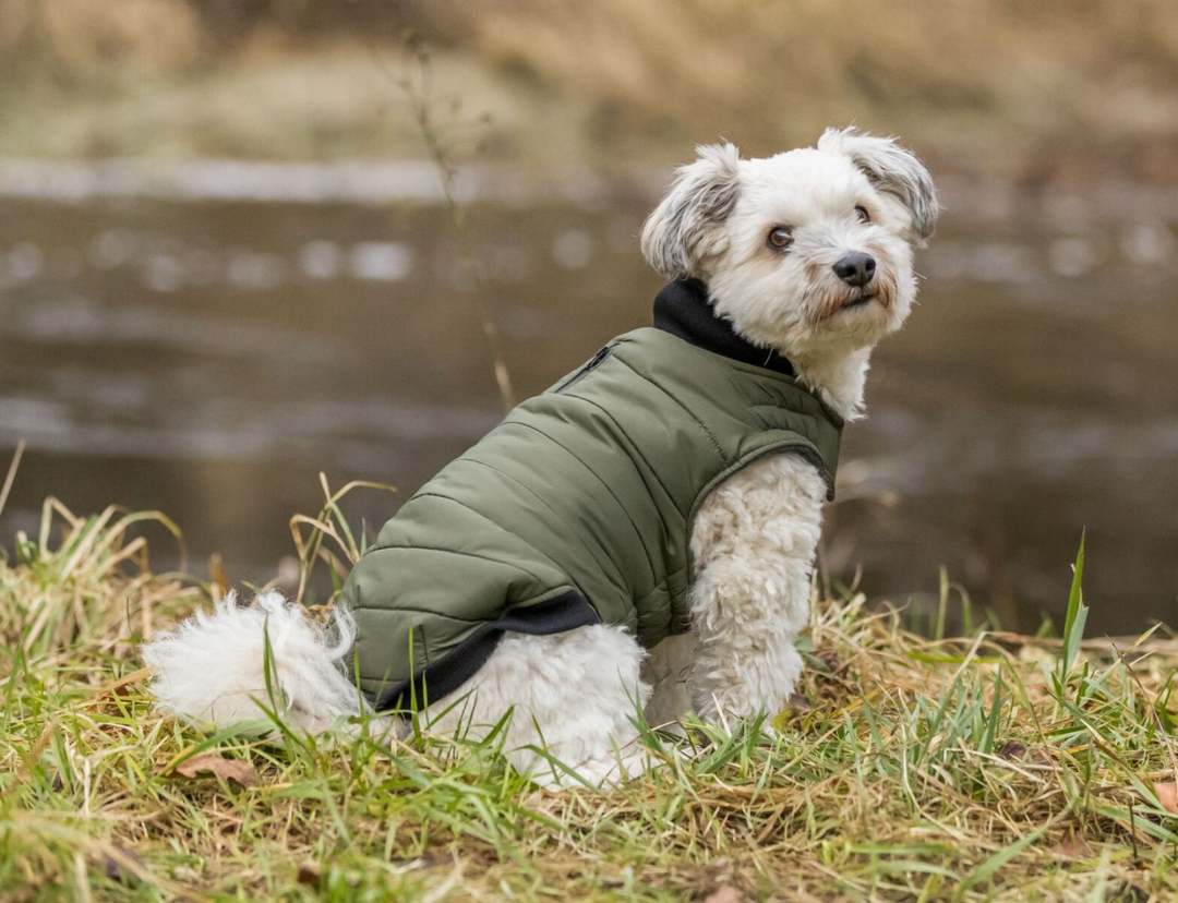 TRIXIE Arlay Dog Coat – Dark Green (XXS, 24 cm)