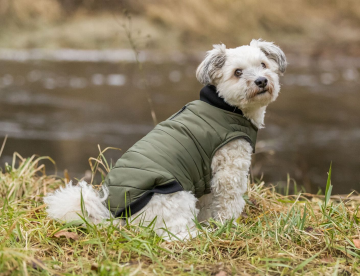 TRIXIE Arlay Dog Coat – Dark Green (XXS, 24 cm)