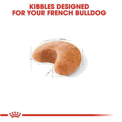 Royal Canin Adult French Bulldog - PetWorld