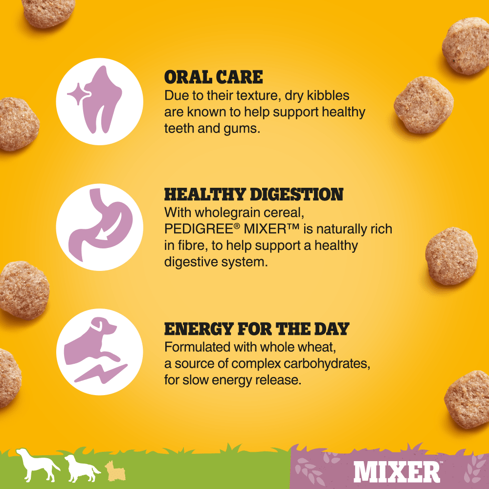 Pedigree Mixer benefits: oral care, healthy digestion and energy for the day