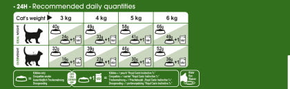 Royal Canin Outdoor Cat Ageing 7+ Dry Mix - PetWorld