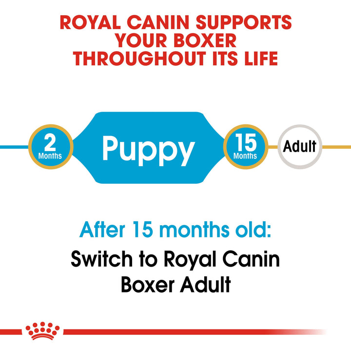 Royal Canin Boxer Puppy from 2 to 15 months, then switch to Boxer Adult