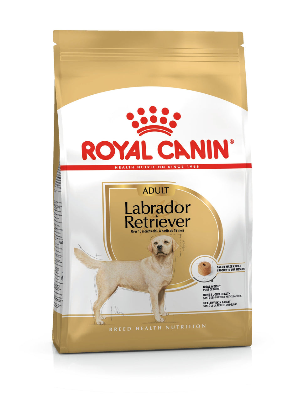 Royal Canin Labrador Retriever Adult dry dog food bag, front of pack