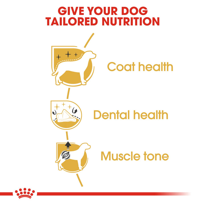 Royal Canin Poodle Adult benefits: coat health, dental health, muscle tone