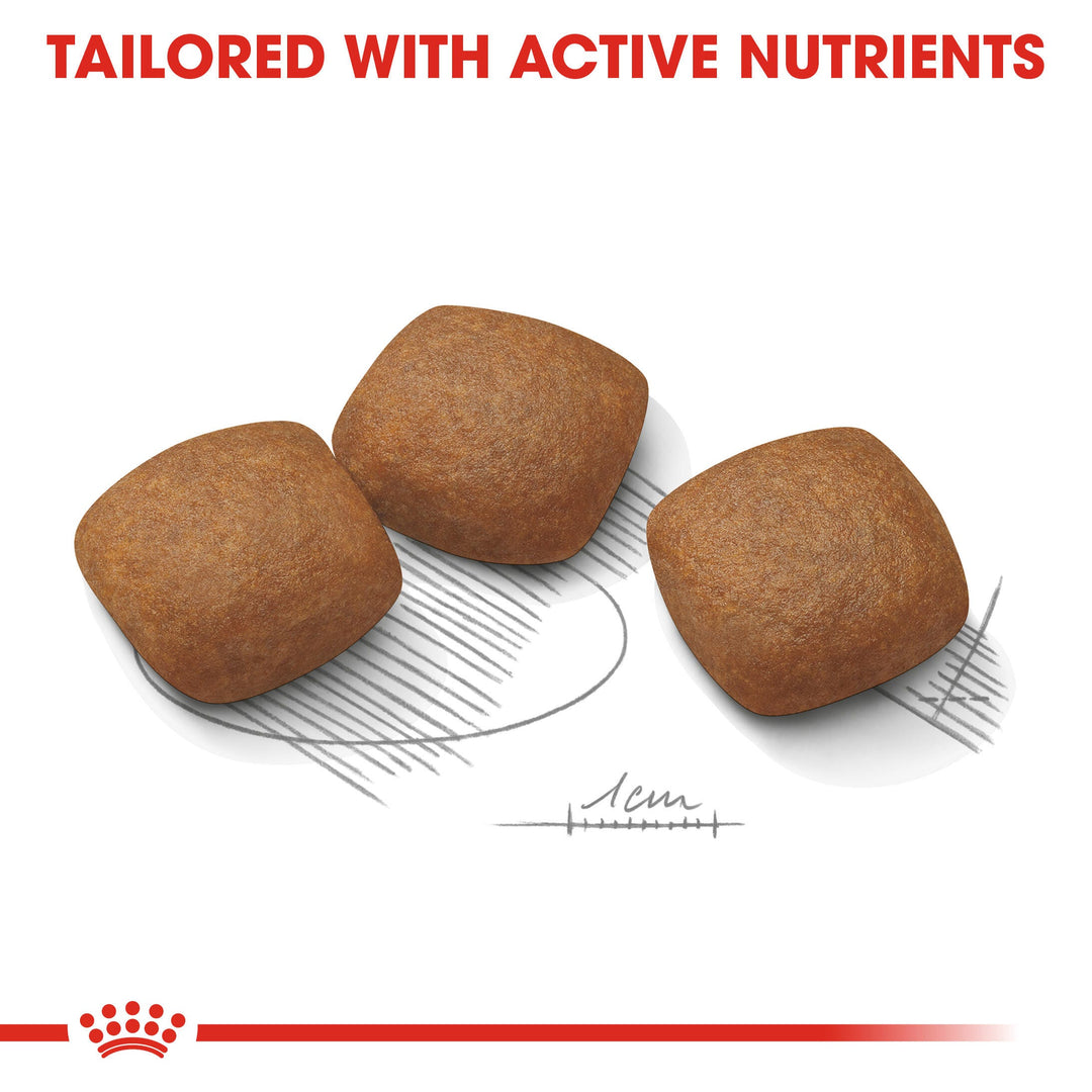 Royal Canin Maxi Joint Care kibble, tailored with active nutrients