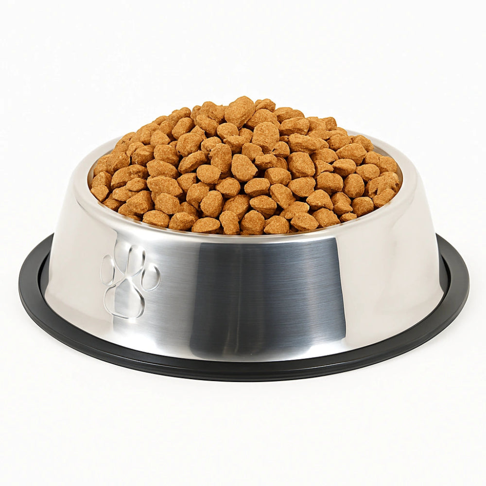 Embossed steel dog bowl

