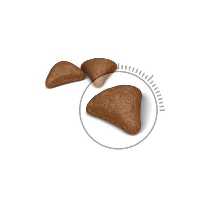 Royal Canin Hairball Care - PetWorld