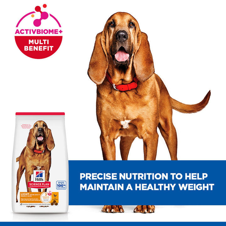 Bloodhound with Hill's Light Mature Adult 7+ Medium bag, helps maintain a healthy weight