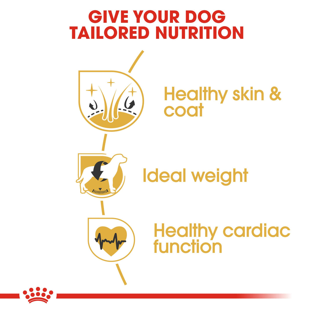 Royal Canin Cocker Adult benefits: healthy skin and coat, ideal weight, healthy cardiac function