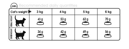 Royal Canin Digestive Comfort Dry Mix - PetWorld