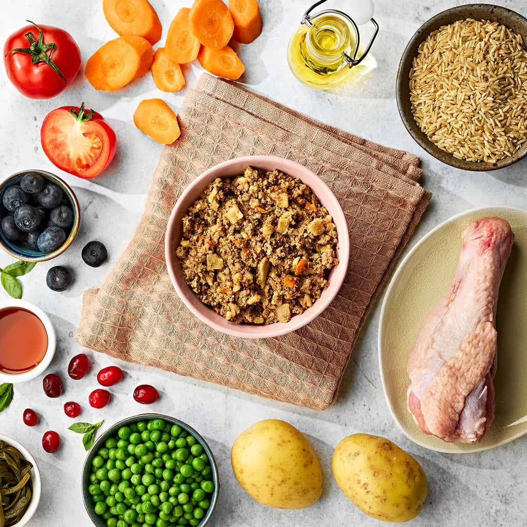 Naturo Mini Wet Dog Food 150g - Turkey Flavour