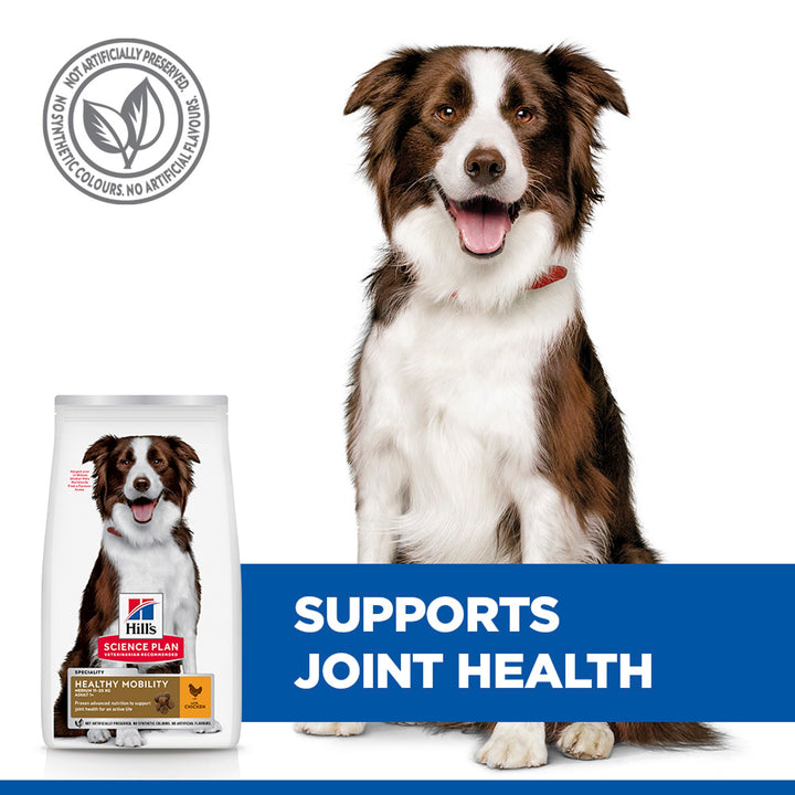 Hill's Healthy Mobility Medium Adult dog food supports joint health, bag with medium breed dog