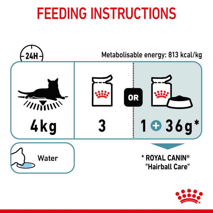 Royal Canin Hairball Care in Jelly feeding instructions for a 4kg cat