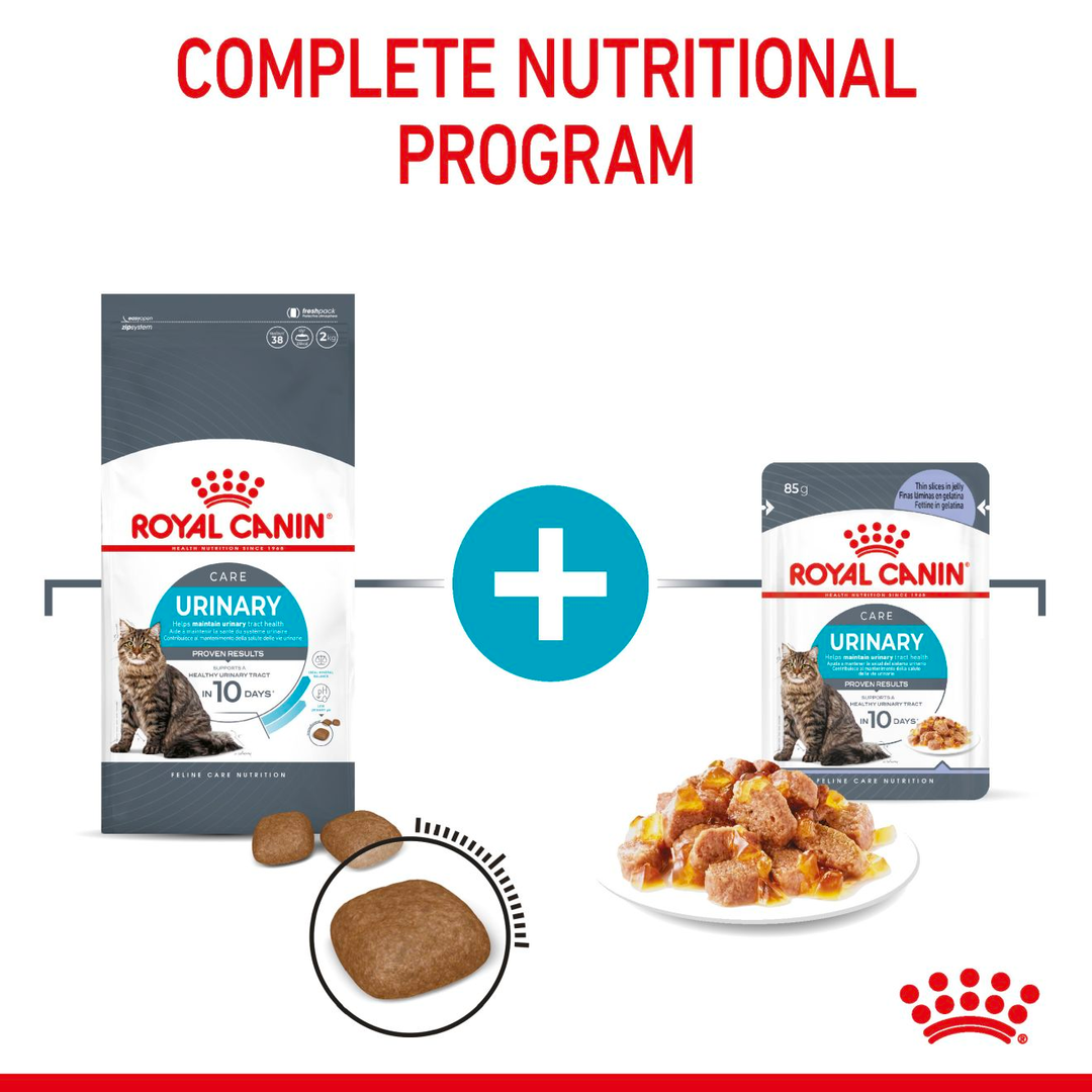 Royal Canin Urinary Care complete nutritional programme: dry food plus wet pouch in jelly
