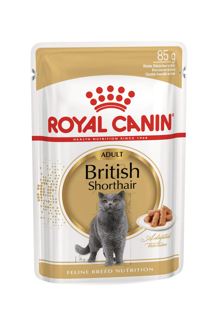 Royal Canin British Shorthair Adult in Gravy 85g wet cat food pouch, front