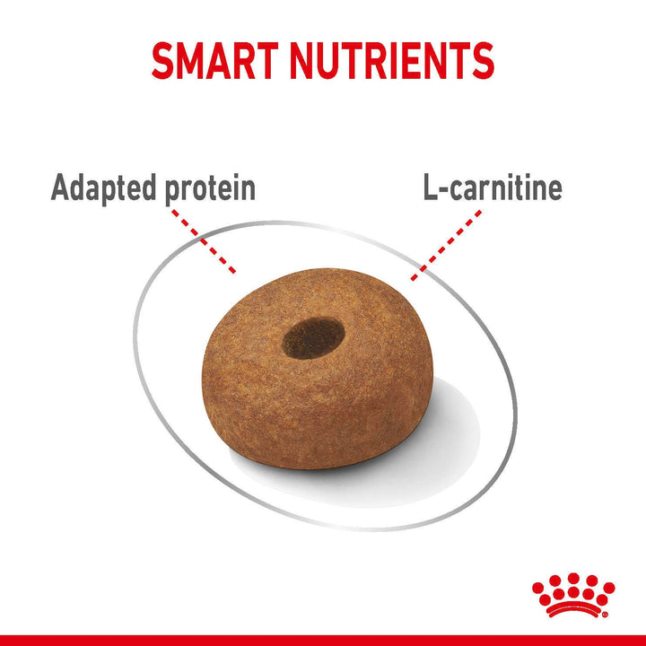 Royal Canin Maxi Light Weight Care kibble with adapted protein and L-carnitine