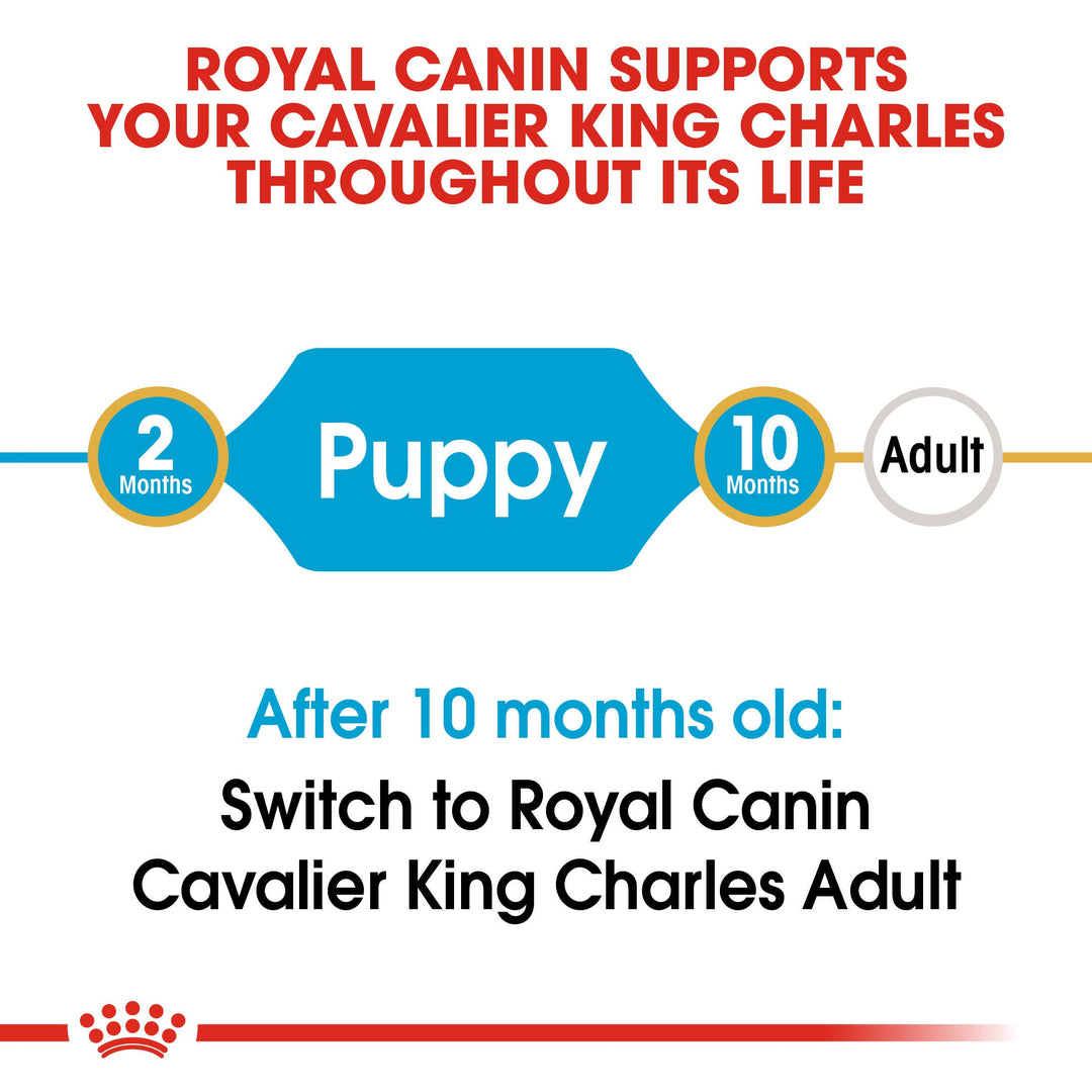 Royal Canin Cavalier King Charles Puppy from 2 to 10 months, then switch to Cavalier King Charles Adult