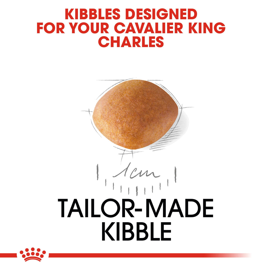Royal Canin Cavalier King Charles Puppy tailor made kibble designed for the breed