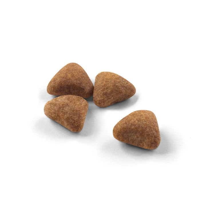 Royal Canin INDOOR 27 Cat - PetWorld