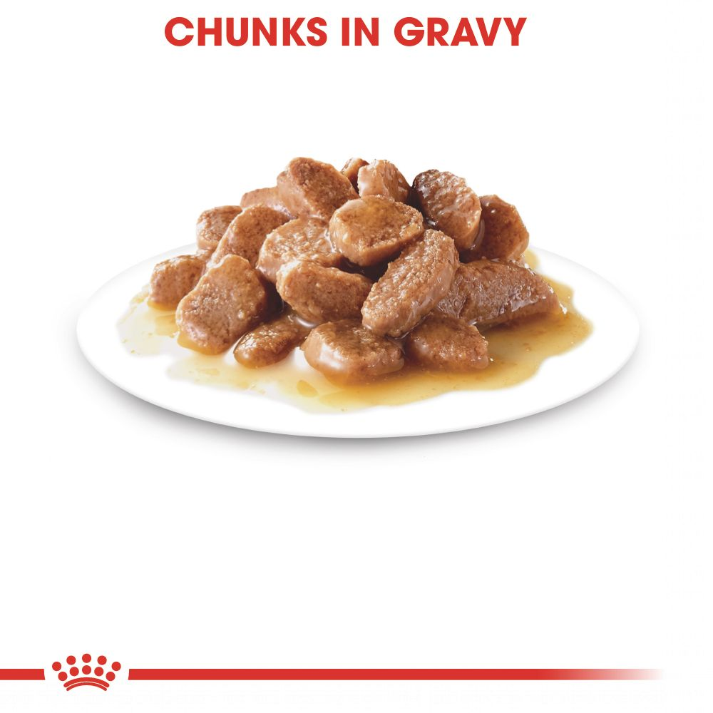 Royal Canin Instinctive 7+ chunks in gravy served on a plate