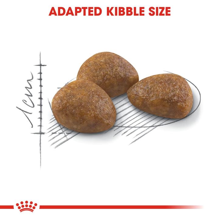 Royal Canin Outdoor 7+ adapted kibble size