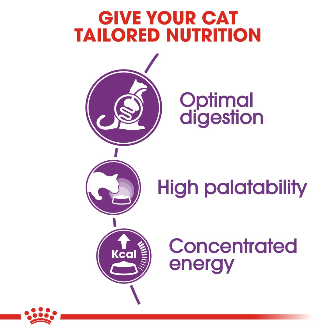 Royal Canin Sensible 33 benefits: optimal digestion, high palatability, concentrated energy