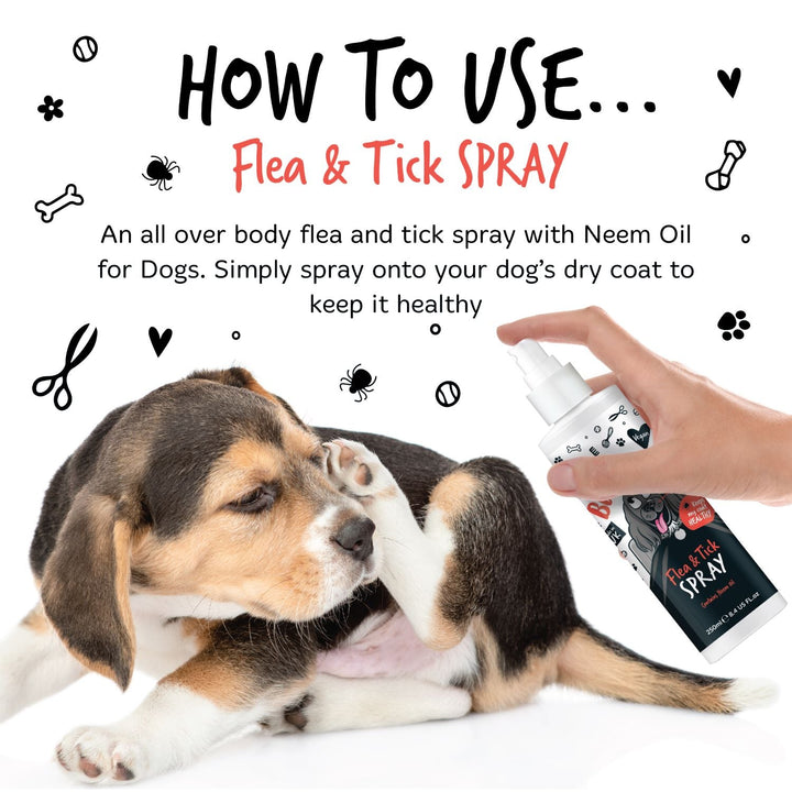 How to use Bugalugs Flea and Tick Spray: spray onto your dog's dry coat