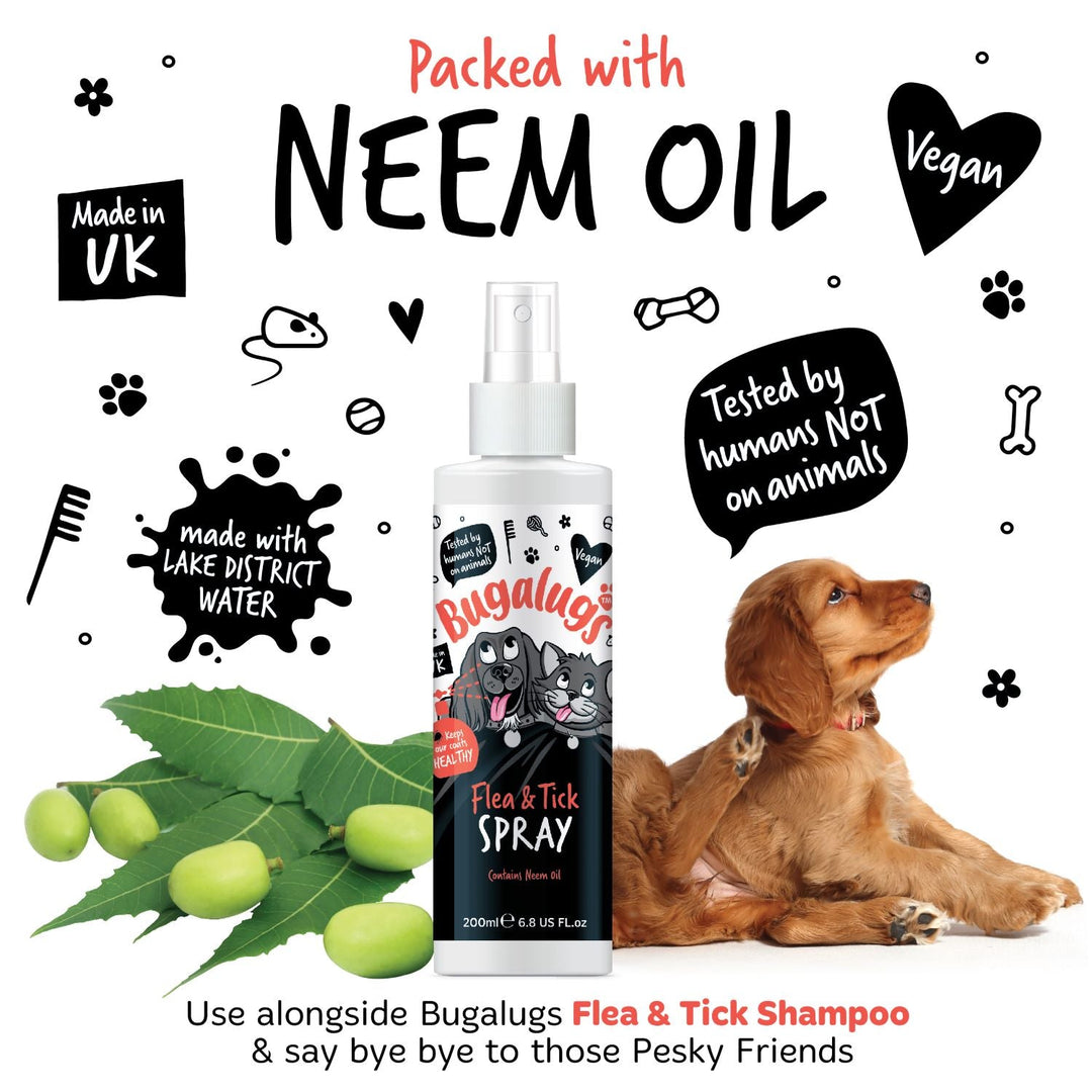 Bugalugs Flea and Tick Spray packed with neem oil, with a spaniel puppy