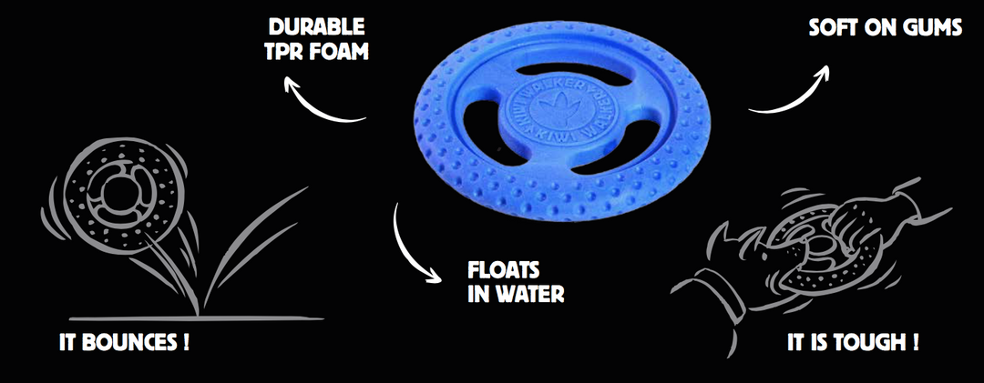 Kiwi Walker Mini Blue Frisbee Latex Dog Toy - PetWorld