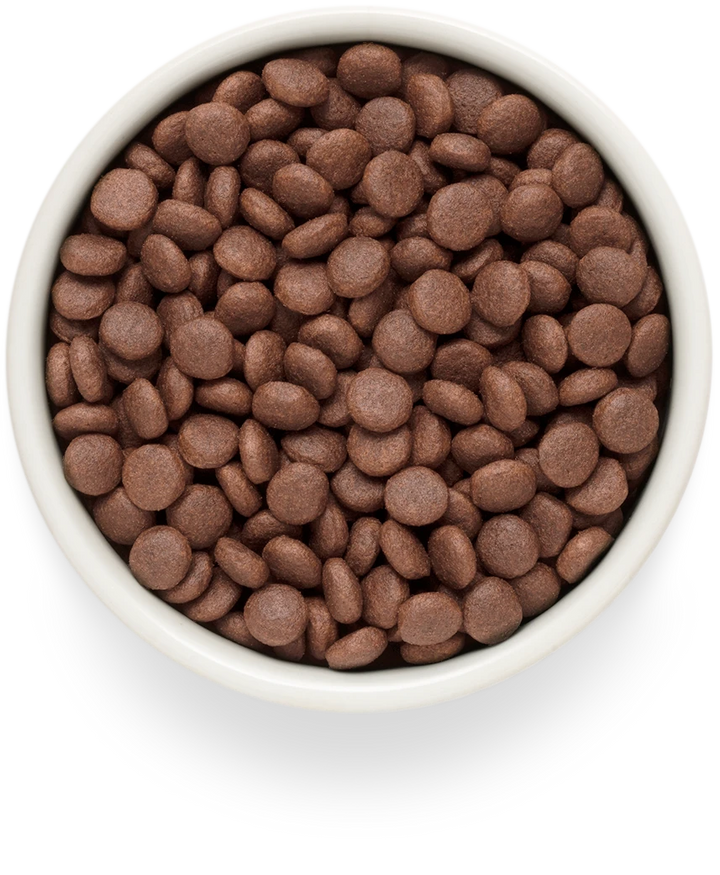 Grandorf Fresh Lamb & Sweet Potato Adult Medium & Maxi kibble in a bowl