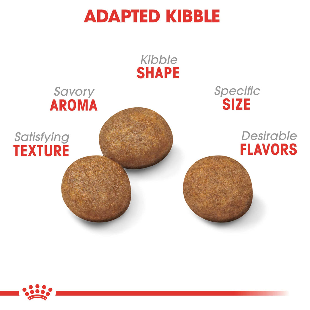 Royal Canin Maxi Puppy Dog Food - PetWorld