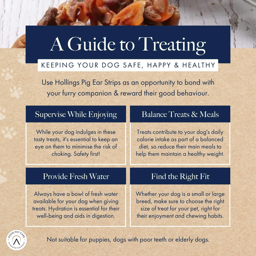 Guide to treating dog safety, happiness, and health 