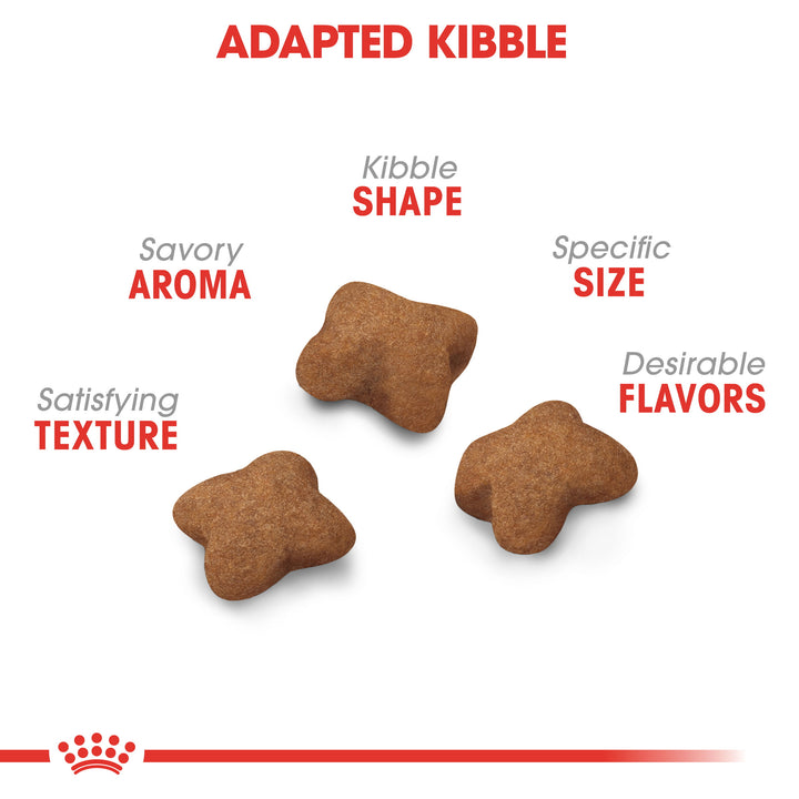 Royal Canin Kitten Sterilised Cat Food - PetWorld