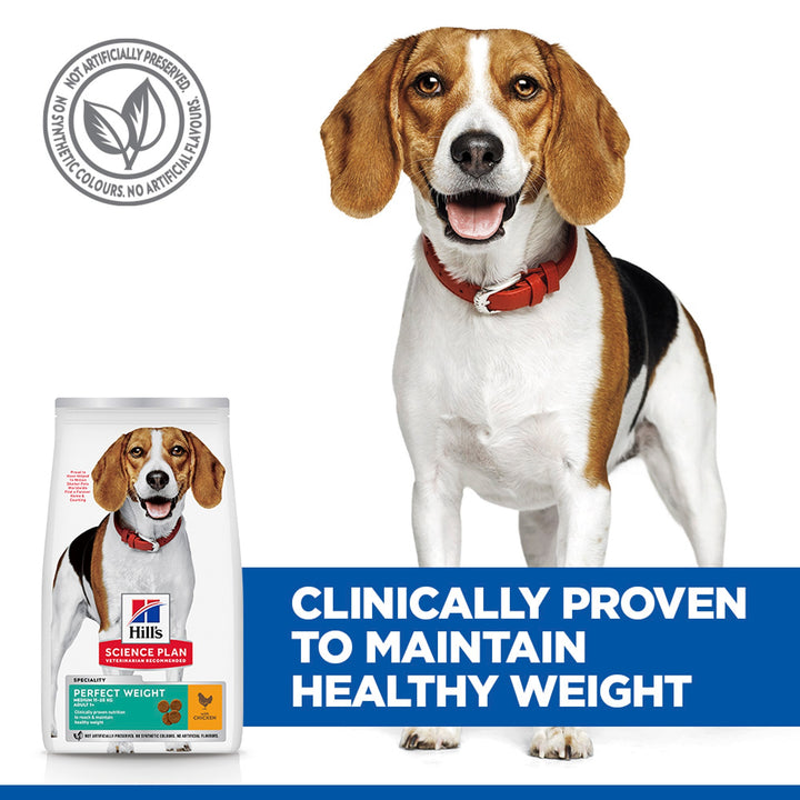 Hill's Perfect Weight Medium Adult clinically proven to maintain healthy weight, bag with beagle