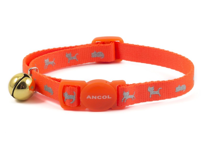 hi vis orange safety cat collar