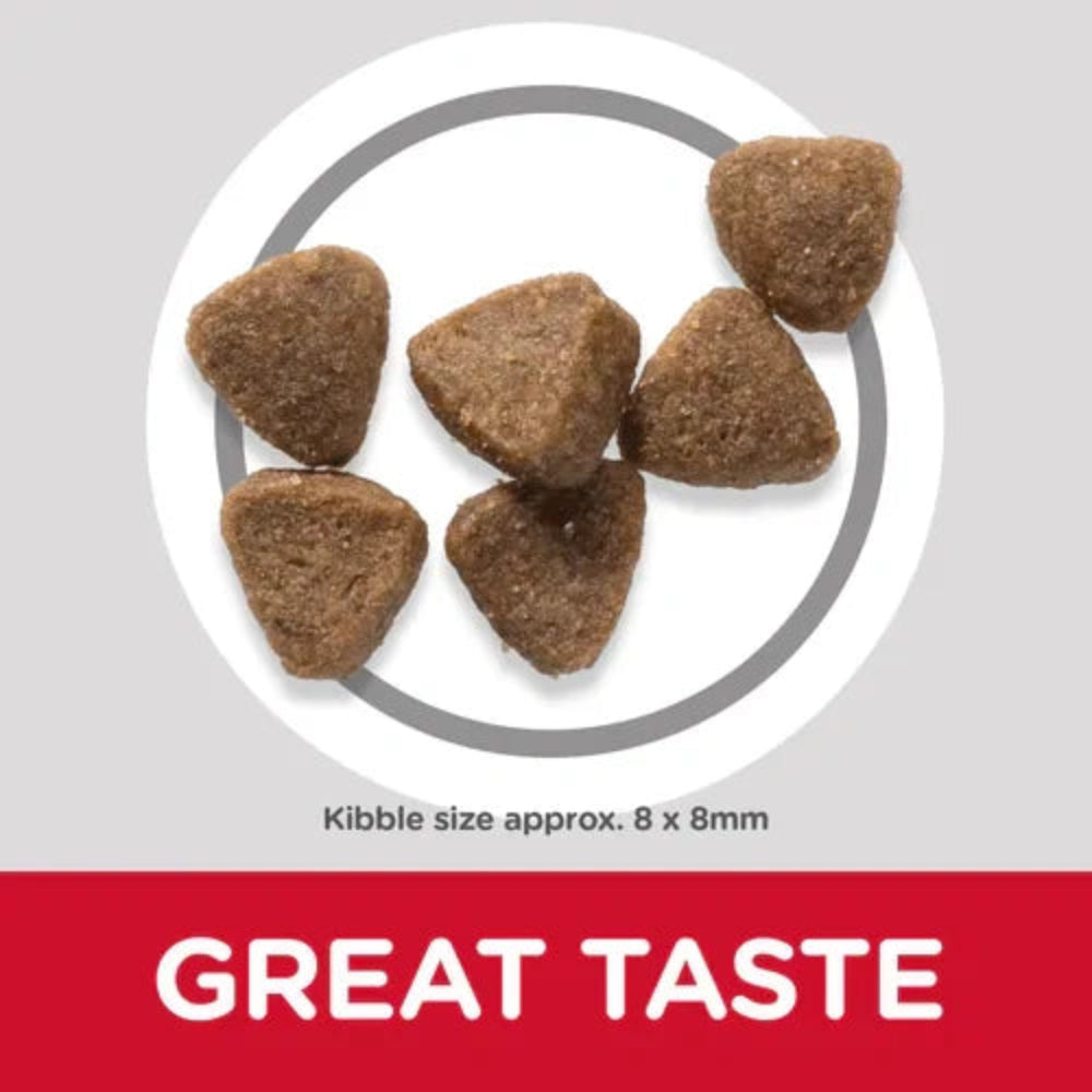 Hill's dry food for kittens and nursing cats with brain and bone support

