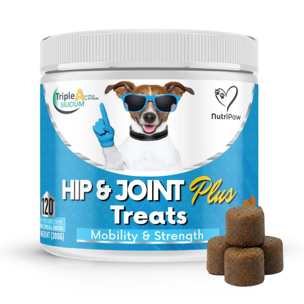 NutriPaw Hip and Joint Plus Treats for dogs, tub of 120 soft chews, front