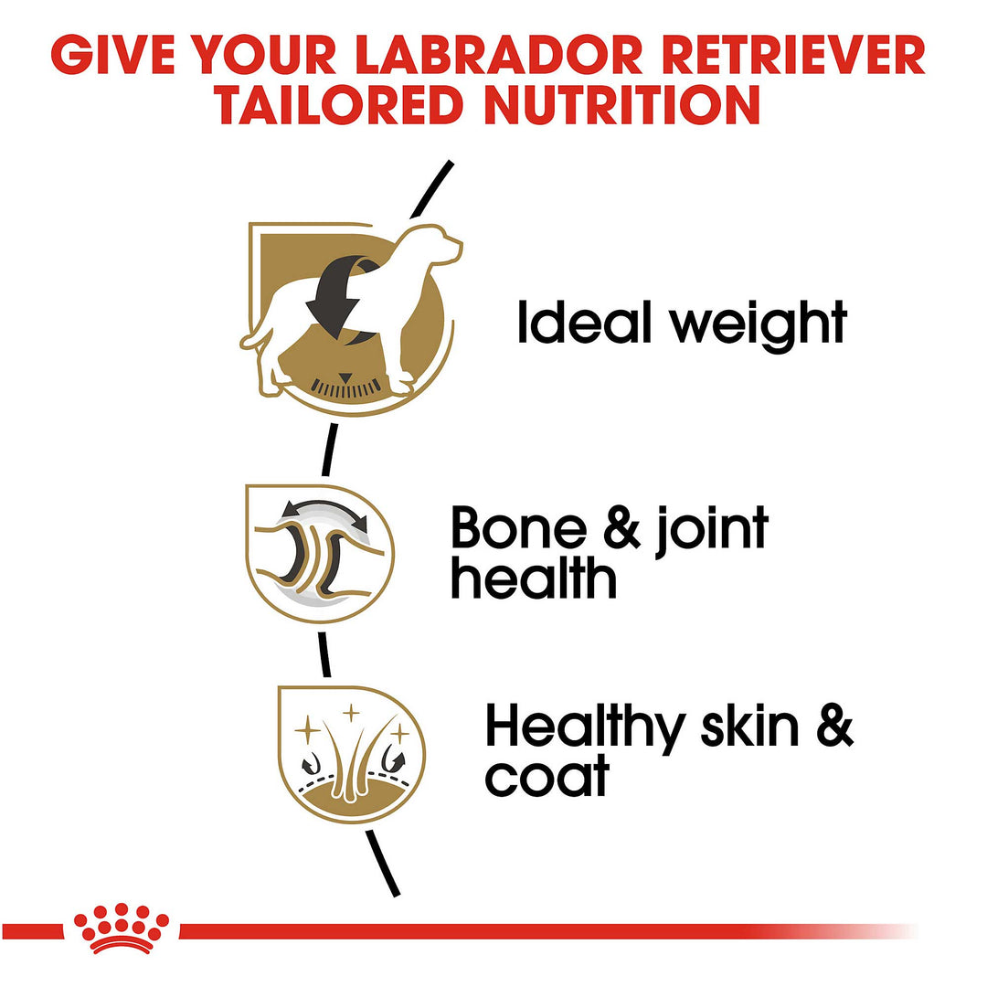 Royal Canin Adult Labrador Retriever - PetWorld