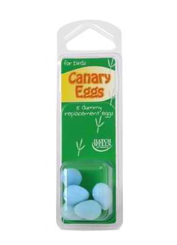 CANARY DUMMY EGGS 5 PER CARD