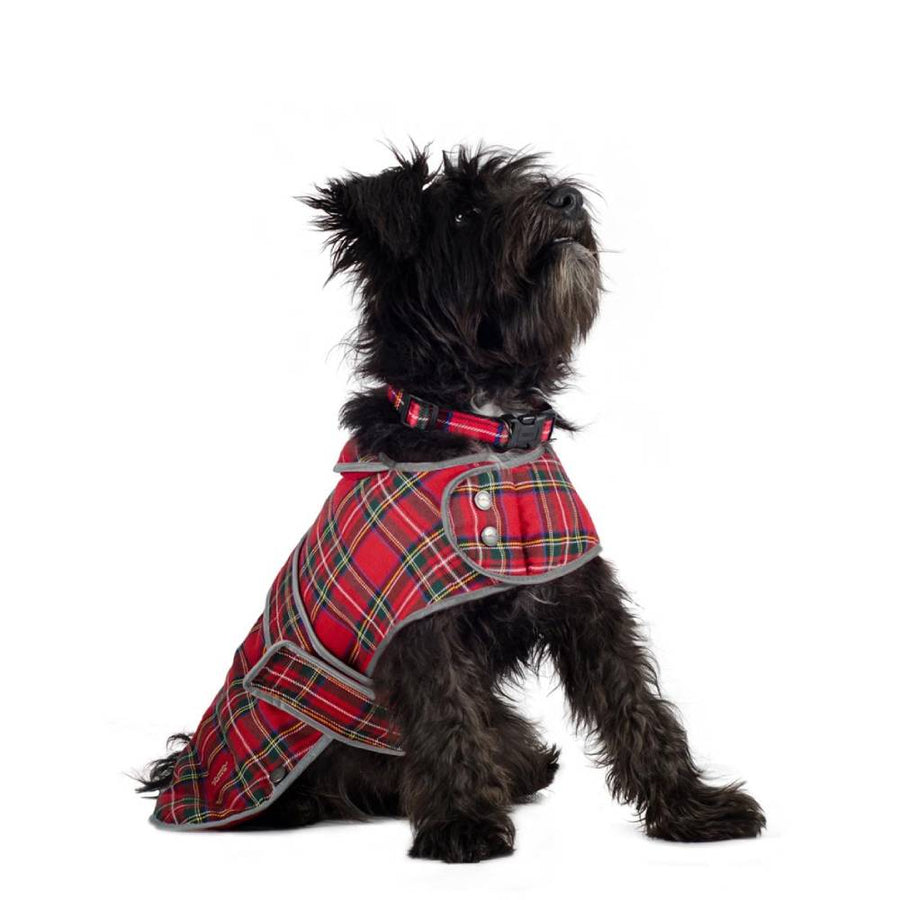 hyland tartan dog coat