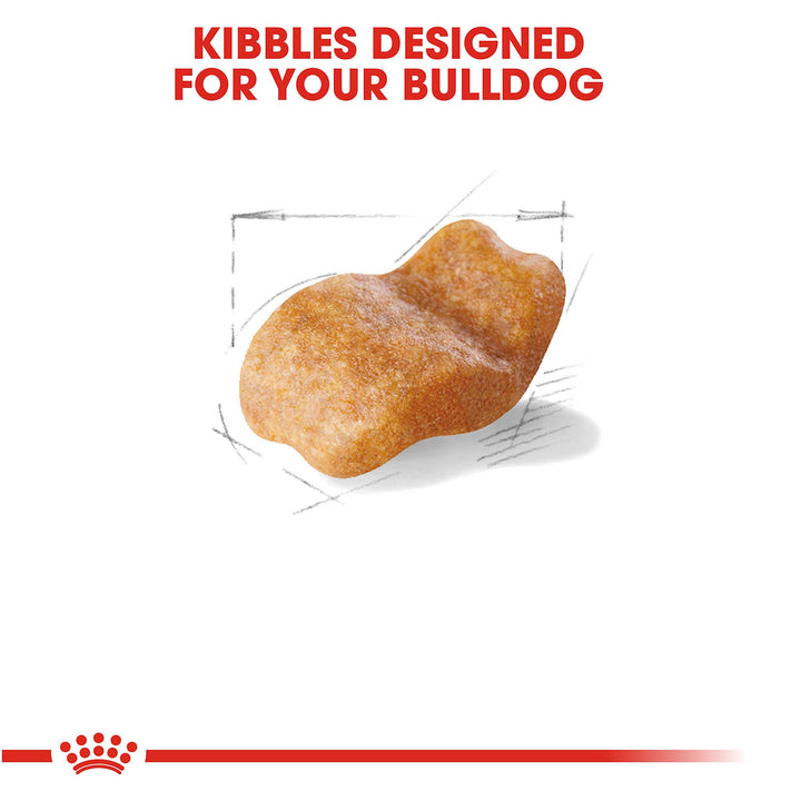 Royal Canin Adult Bulldog Dog Food - PetWorld