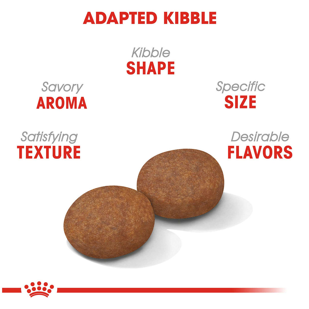 Royal Canin Medium Adult 7+ Dog Food - PetWorld