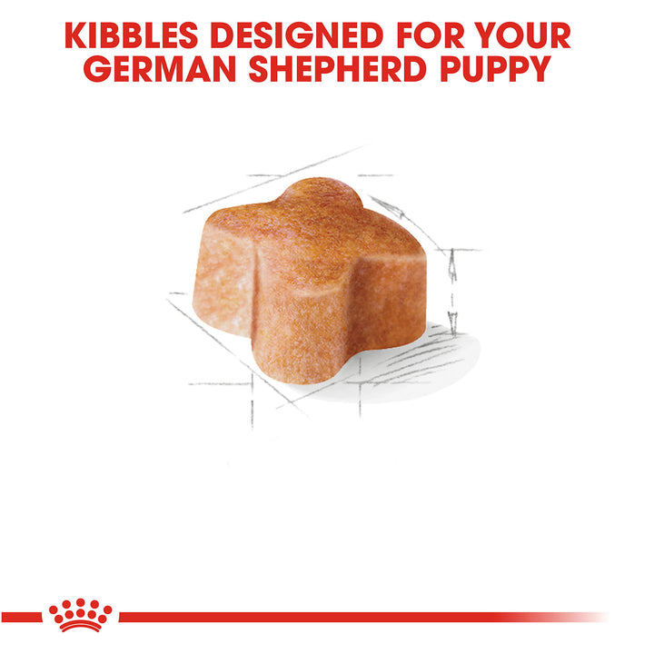 Royal Canin Junior German Shepherd - PetWorld