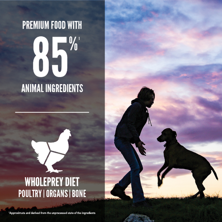 ORIJEN Puppy Large Grain-Free for Large Breed Puppies